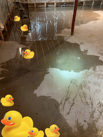 Basement, waterproofing, fix, repair, wet, flooded, floor, wall, leaking, flooding, water,  Schenectady, Albany, Colonie, Niskayuna, Latham, Rotterdam, Rexford, Scotia, Glenville, Loudonville, ny,